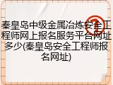 秦皇岛中级金属冶炼安全工程师网上报名服务平台网址多少(秦皇岛安全工程师报名网址)