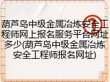 葫芦岛中级金属冶炼安全工程师网上报名服务平台网址多少(葫芦岛中级金属冶炼安全工程师报名网址)
