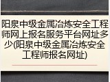 阳泉中级金属冶炼安全工程师网上报名服务平台网址多少(阳泉中级金属冶炼安全工程师报名网址)