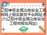 辽阳中级金属冶炼安全工程师网上报名服务平台网址多少(辽阳中级金属冶炼安全工程师报名网址)