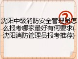 沈阳中级消防安全管理员怎么报考哪家最好有何要求(沈阳消防管理员报考推荐)