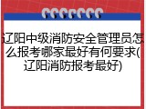辽阳中级消防安全管理员怎么报考哪家最好有何要求(辽阳消防报考最好)