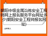 朝阳中级金属冶炼安全工程师网上报名服务平台网址多少(朝阳安全工程师报名网址)