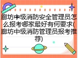 廊坊中级消防安全管理员怎么报考哪家最好有何要求(廊坊中级消防管理员报考推荐)
