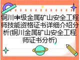 铜川中级金属矿山安全工程师技能资格证书详细介绍分析(铜川金属矿山安全工程师证书分析)