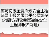 廊坊初级金属冶炼安全工程师网上报名服务平台网址多少(廊坊初级金属冶炼安全工程师报名网址)