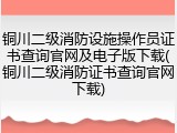 铜川二级消防设施操作员证书查询官网及电子版下载(铜川二级消防证书查询官网下载)