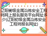 辽阳初级金属冶炼安全工程师网上报名服务平台网址多少(辽阳初级金属冶炼安全工程师报名网址)