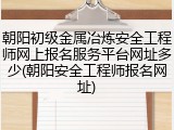朝阳初级金属冶炼安全工程师网上报名服务平台网址多少(朝阳安全工程师报名网址)