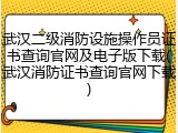 武汉二级消防设施操作员证书查询官网及电子版下载(武汉消防证书查询官网下载)