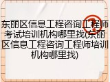 东丽区信息工程咨询工程师考试培训机构哪里找(东丽区信息工程咨询工程师培训机构哪里找)