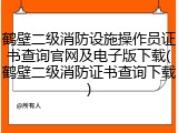 鹤壁二级消防设施操作员证书查询官网及电子版下载(鹤壁二级消防证书查询下载)