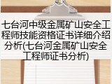 七台河中级金属矿山安全工程师技能资格证书详细介绍分析(七台河金属矿山安全工程师证书分析)