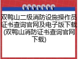 双鸭山二级消防设施操作员证书查询官网及电子版下载(双鸭山消防证书查询官网下载)