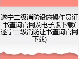 遂宁二级消防设施操作员证书查询官网及电子版下载(遂宁二级消防证书查询官网下载)