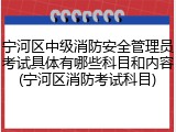 宁河区中级消防安全管理员考试具体有哪些科目和内容(宁河区消防考试科目)