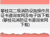攀枝花二级消防设施操作员证书查询官网及电子版下载(攀枝花消防证书查询官网下载)