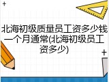 北海初级质量员工资多少钱一个月通常(北海初级员工资多少)