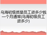 乌海初级质量员工资多少钱一个月通常(乌海初级员工资多少)