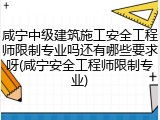 咸宁中级建筑施工安全工程师限制专业吗还有哪些要求呀(咸宁安全工程师限制专业)