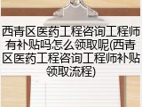 西青区医药工程咨询工程师有补贴吗怎么领取呢(西青区医药工程咨询工程师补贴领取流程)