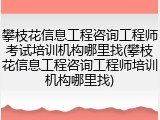 攀枝花信息工程咨询工程师考试培训机构哪里找(攀枝花信息工程咨询工程师培训机构哪里找)