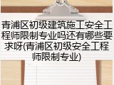 青浦区初级建筑施工安全工程师限制专业吗还有哪些要求呀(青浦区初级安全工程师限制专业)