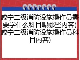 咸宁二级消防设施操作员需要学什么科目呢哪些内容(咸宁二级消防设施操作员科目内容)