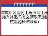 浦东新区医药工程咨询工程师有补贴吗怎么领取呢(浦东医药补贴领取)