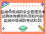 盐城中级消防安全管理员考试具体有哪些科目和内容(盐城中级消防考试科目)