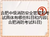 合肥中级消防安全管理员考试具体有哪些科目和内容(合肥消防考试科目)