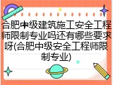合肥中级建筑施工安全工程师限制专业吗还有哪些要求呀(合肥中级安全工程师限制专业)