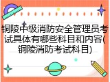 铜陵中级消防安全管理员考试具体有哪些科目和内容(铜陵消防考试科目)
