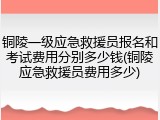 铜陵一级应急救援员报名和考试费用分别多少钱(铜陵应急救援员费用多少)