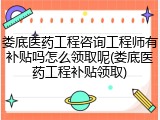 娄底医药工程咨询工程师有补贴吗怎么领取呢(娄底医药工程补贴领取)