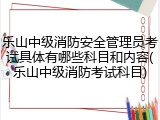 乐山中级消防安全管理员考试具体有哪些科目和内容(乐山中级消防考试科目)