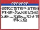 铜梁区医药工程咨询工程师有补贴吗怎么领取呢(铜梁区医药工程咨询工程师补贴领取流程)