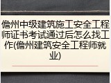 儋州中级建筑施工安全工程师证书考试通过后怎么找工作(儋州建筑安全工程师就业)