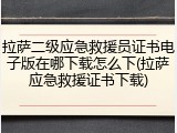 拉萨二级应急救援员证书电子版在哪下载怎么下(拉萨应急救援证书下载)