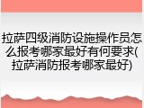 拉萨四级消防设施操作员怎么报考哪家最好有何要求(拉萨消防报考哪家最好)