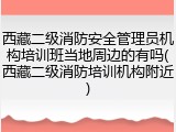 西藏二级消防安全管理员机构培训班当地周边的有吗(西藏二级消防培训机构附近)