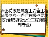 合肥初级建筑施工安全工程师限制专业吗还有哪些要求呀(合肥初级安全工程师限制专业)