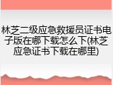 林芝二级应急救援员证书电子版在哪下载怎么下(林芝应急证书下载在哪里)