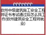 钦州中级建筑施工安全工程师证书考试通过后怎么找工作(钦州建筑安全工程师就业)