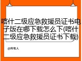 喀什二级应急救援员证书电子版在哪下载怎么下(喀什二级应急救援员证书下载)