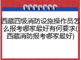 西藏四级消防设施操作员怎么报考哪家最好有何要求(西藏消防报考哪家最好)
