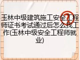 玉林中级建筑施工安全工程师证书考试通过后怎么找工作(玉林中级安全工程师就业)