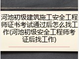 河池初级建筑施工安全工程师证书考试通过后怎么找工作(河池初级安全工程师考证后找工作)