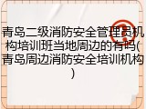 青岛二级消防安全管理员机构培训班当地周边的有吗(青岛周边消防安全培训机构)