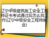辽宁中级建筑施工安全工程师证书考试通过后怎么找工作(辽宁中级安全工程师就业)